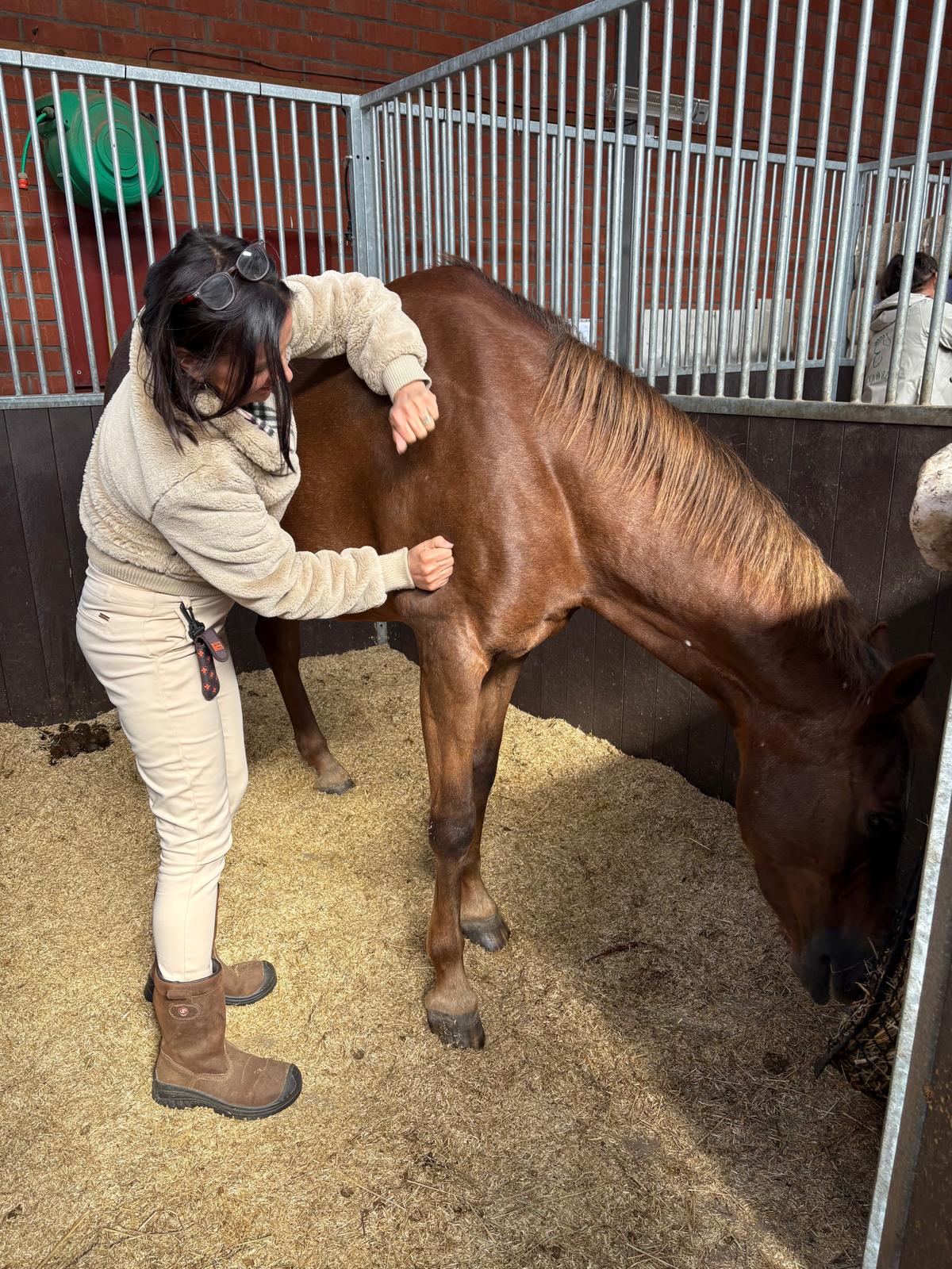 Shiatsu en heling voor paard met stijfheid – communicatie en heling met dieren