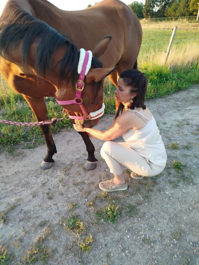 dierencommunicatie en heling Behandeling paard met spanning in de nek – shiatsu en heling voor ontspanning en vertrouwen