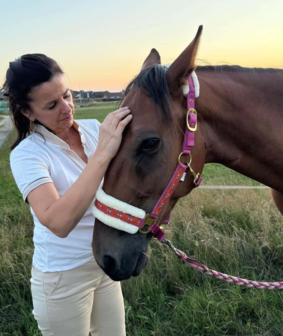 Communicatie met paard dat net gekocht is en zich nog niet thuis voelt – dierencommunicatie en heling
